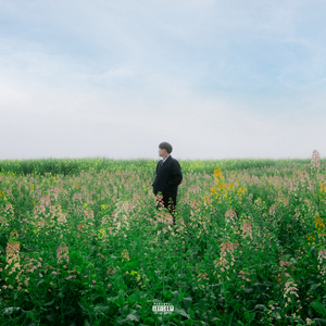 韩剧老板红衣秘书的背景故事
