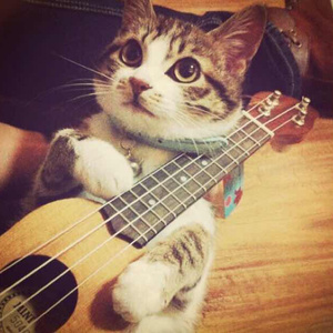 韩剧老板红衣秘书的背景故事
